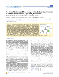 The Role of Excitons and Free Charges in the Excited