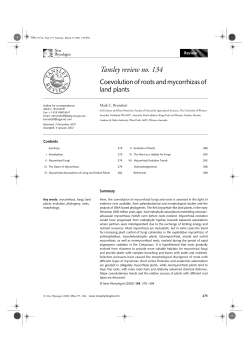 Tansley review no. 134
