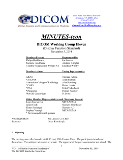 MINUTES- tcon DICOM Working Group Eleven