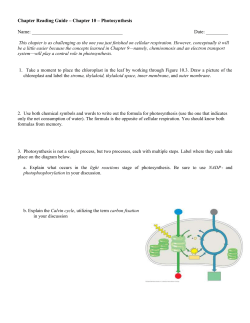 This chapter is as challenging as the one you just finished on