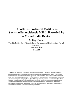 Riboflavin-mediated Motility in Shewanella