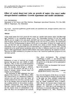 Effect of varied shoot/root ratio on growth of maize