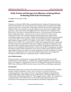 Yield, Protein and Nitrogen Use Efficiency of Spring Wheat