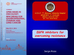 Presentazione standard di PowerPoint