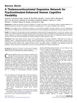 A Thalamocorticostriatal Dopamine Network for