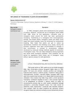 INFLUENCE OF TRANSGENIC PLANTS ON ENVIRONMENT