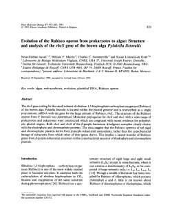 Evolution of the Rubisco operon from prokaryotes to algae: Structure