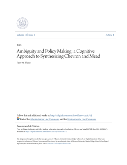 Ambiguity and Policy Making: a Cognitive Approach to Synthesizing