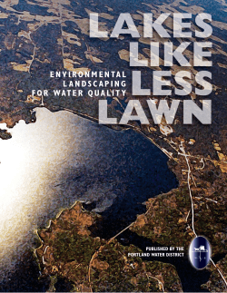 environmental landscaping for water quality