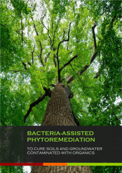 bacteria-assisted phytoremediation