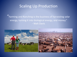Scaling Up Production - Western Colorado Food and Farm Forum