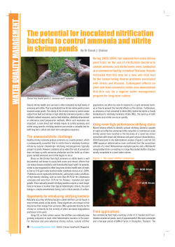 The potential for inoculated nitrification bacteria to