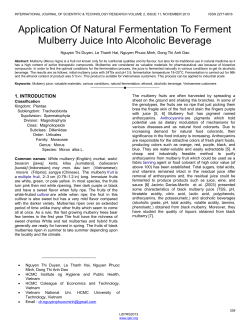 Application Of Natural Fermentation To Ferment Mulberry Juice Into