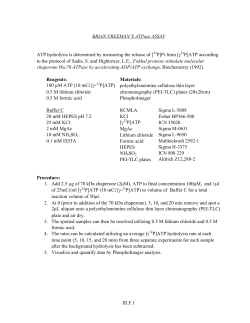III.F.1 BRIAN FREEMAN`S ATPase ASSAY ATP hydrolysis is