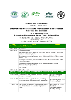 International Conference to Promote Non