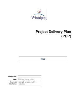 Project Delivery Plan