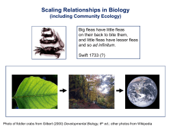 Scaling Relationships in Community Ecology