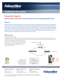 Snapshot Agents - FalconStor Software