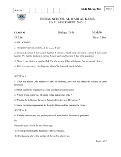 section b - Indian School Al Wadi Al Kabir