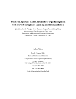 Synthetic Aperture Radar Automatic Target Recognition with Three