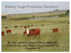 Making Tough Production Decisions