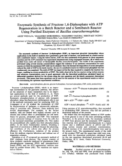 Enzymatic Synthesis of Fructose 1,6