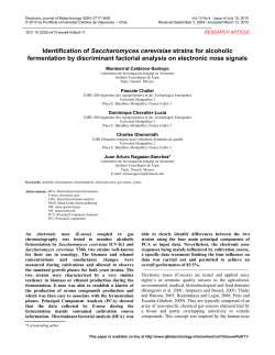 Identification of Saccharomyces cerevisiae strains for alcoholic