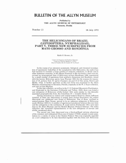 bulletin of the allyn museum - Florida Museum of Natural History