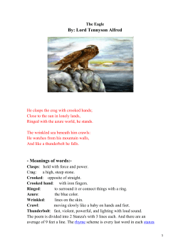 The Eagle