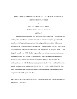 anthocyanins increase antioxidant enzyme