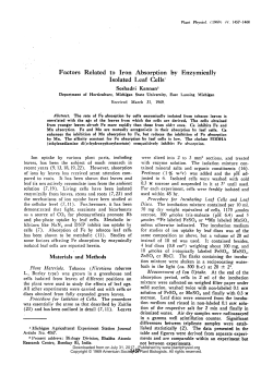 Factors Related to Iron Absorption by Enzymically Isolated Leaf Cells`