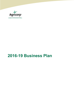 2016-19 Business Plan