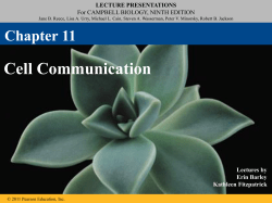 11 Lecture Cell Communication