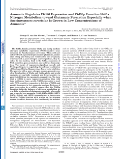 Ammonia Regulates VID30 Expression and Vid30p Function Shifts