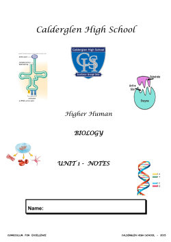 HH Human Cells Course Notes