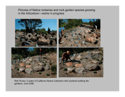 Pictures of Native rockeries and rock garden species growing in the