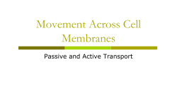 Movement Across Cell Membranes