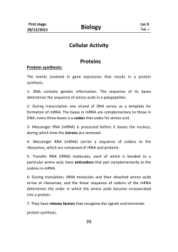 2- Complementary base pairing