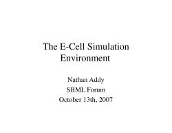 The E-Cell Simulation Environment
