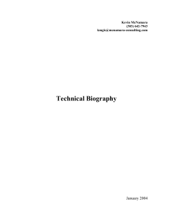 2. Smallworld Magik - McNamara Consulting, Inc.