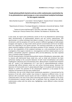 Purple photosynthetic bacteria and sea urchin