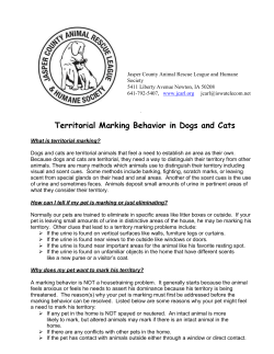 Territorial Marking Behavior in Dogs and Cats