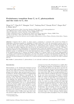 Evolutionary transition from C3 to C4 photosynthesis