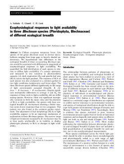 Ecophysiological responses to light availability in three Blechnum
