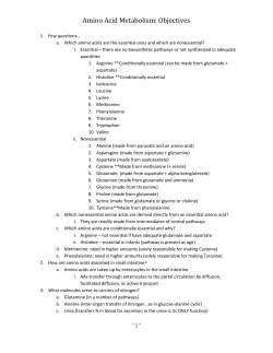 Amino Acid Metabolism: Objectives