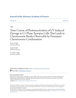 Time Course of Photoreactivation of UV Induced Damage in G1
