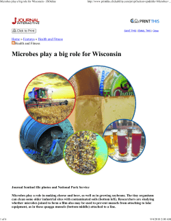 Microbes play a big role fo