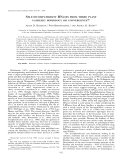 self-incompatibility rnases from three plant families: homology or
