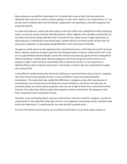 Many producers use artificial insemination (A.I.) to breed their cows