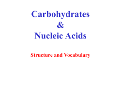 Carbohydrates - La Salle University